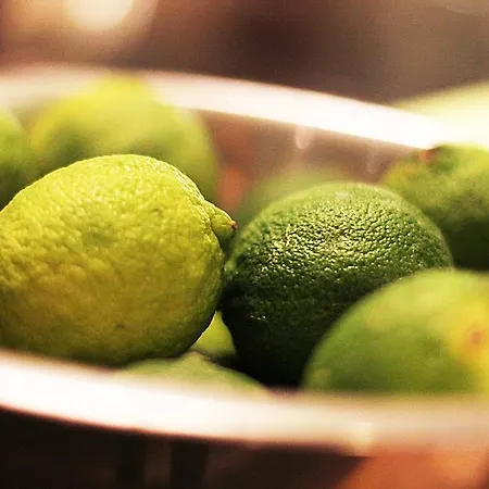 Penzion Gremium Guest house 3*