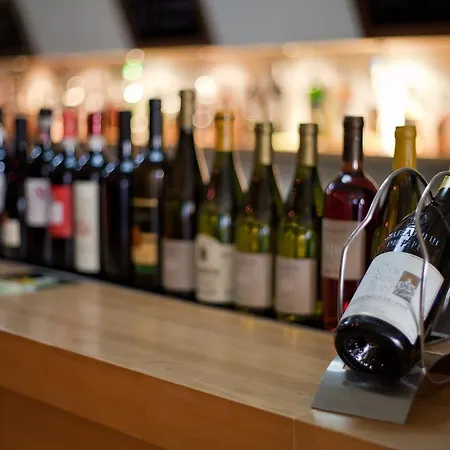 Penzion Gremium ゲストハウス